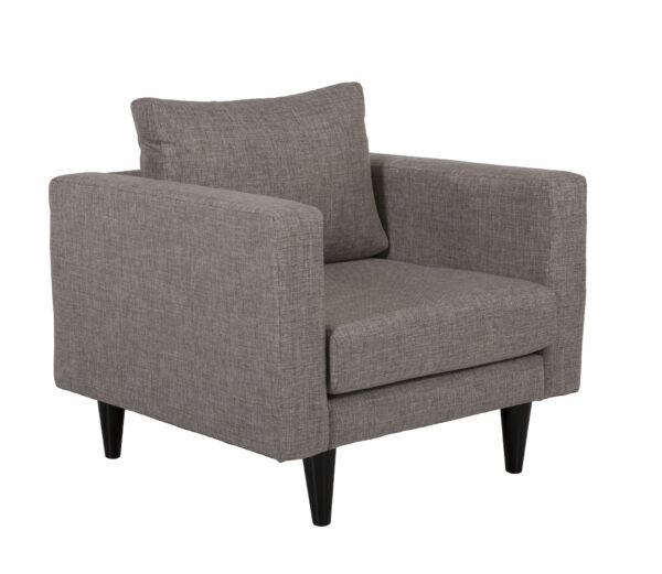 Raphael Chair (Silver) Dallas
